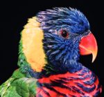 multi-color-2
